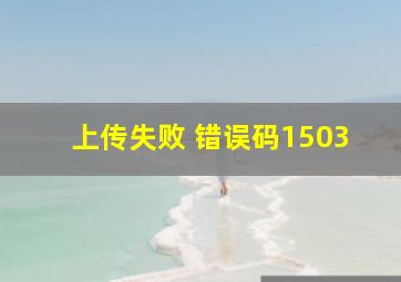 上传失败 错误码1503